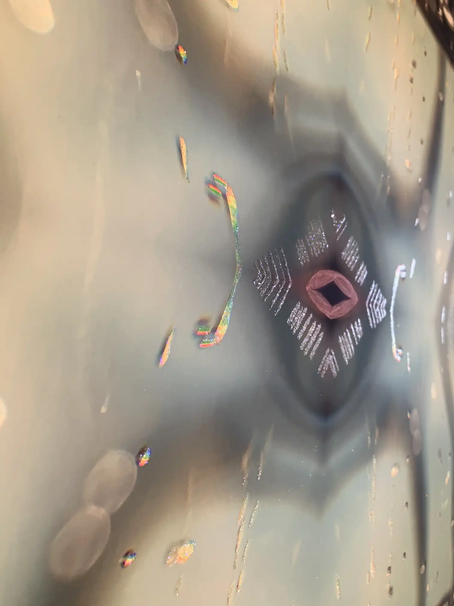 Dettaglo Happy Champagne