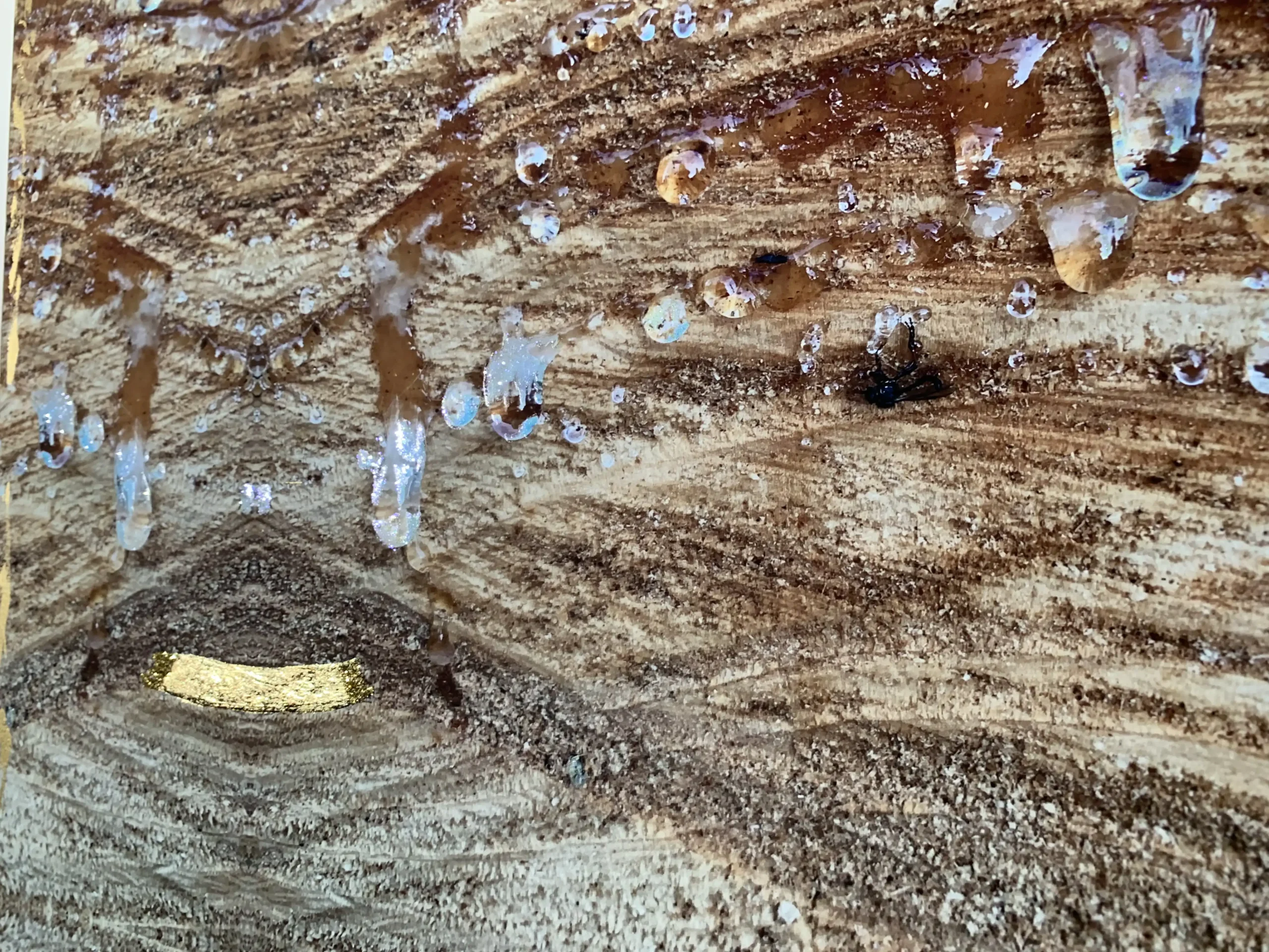 Dettaglo Happy Champagne