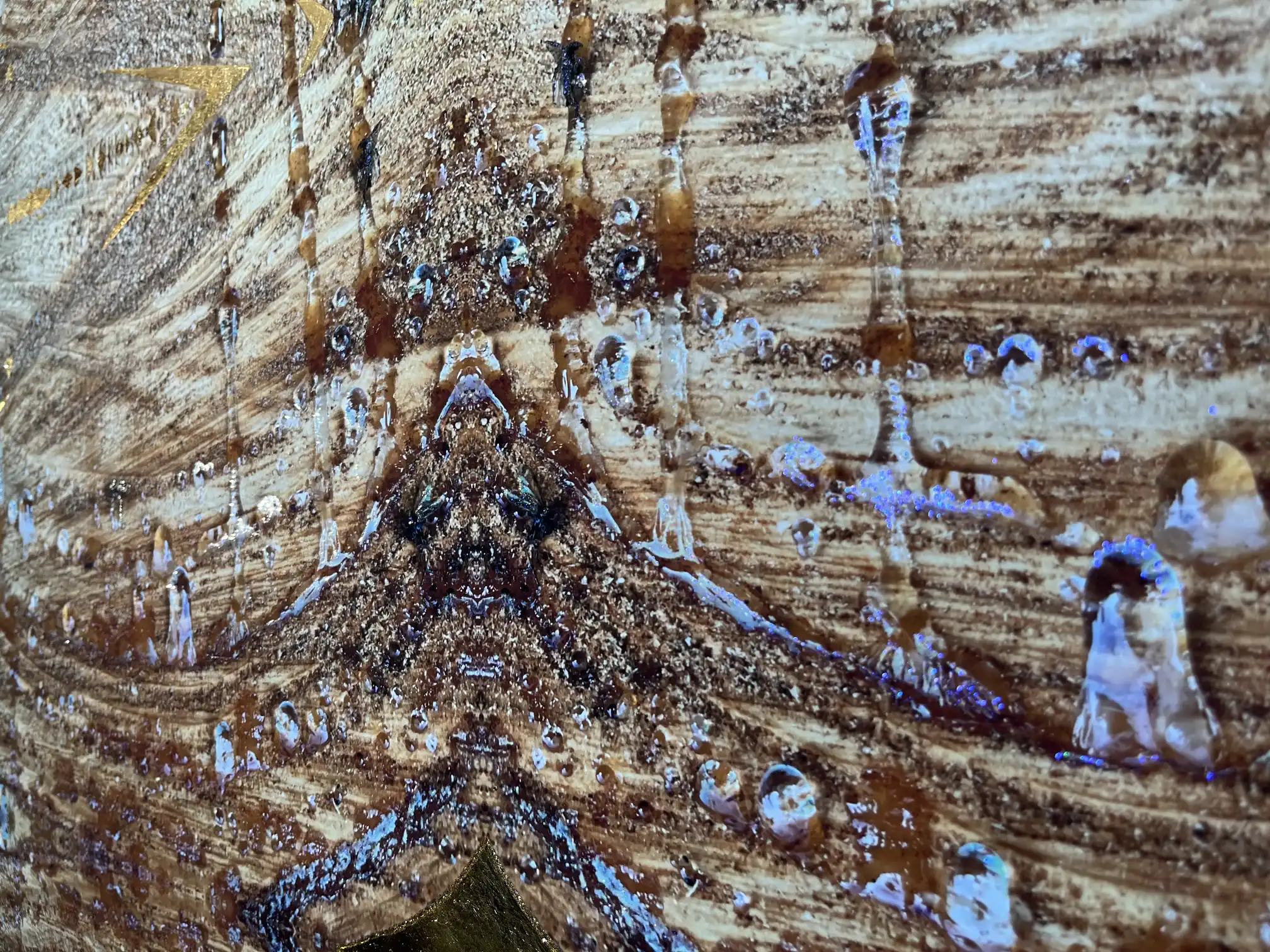 Dettaglo Happy Champagne