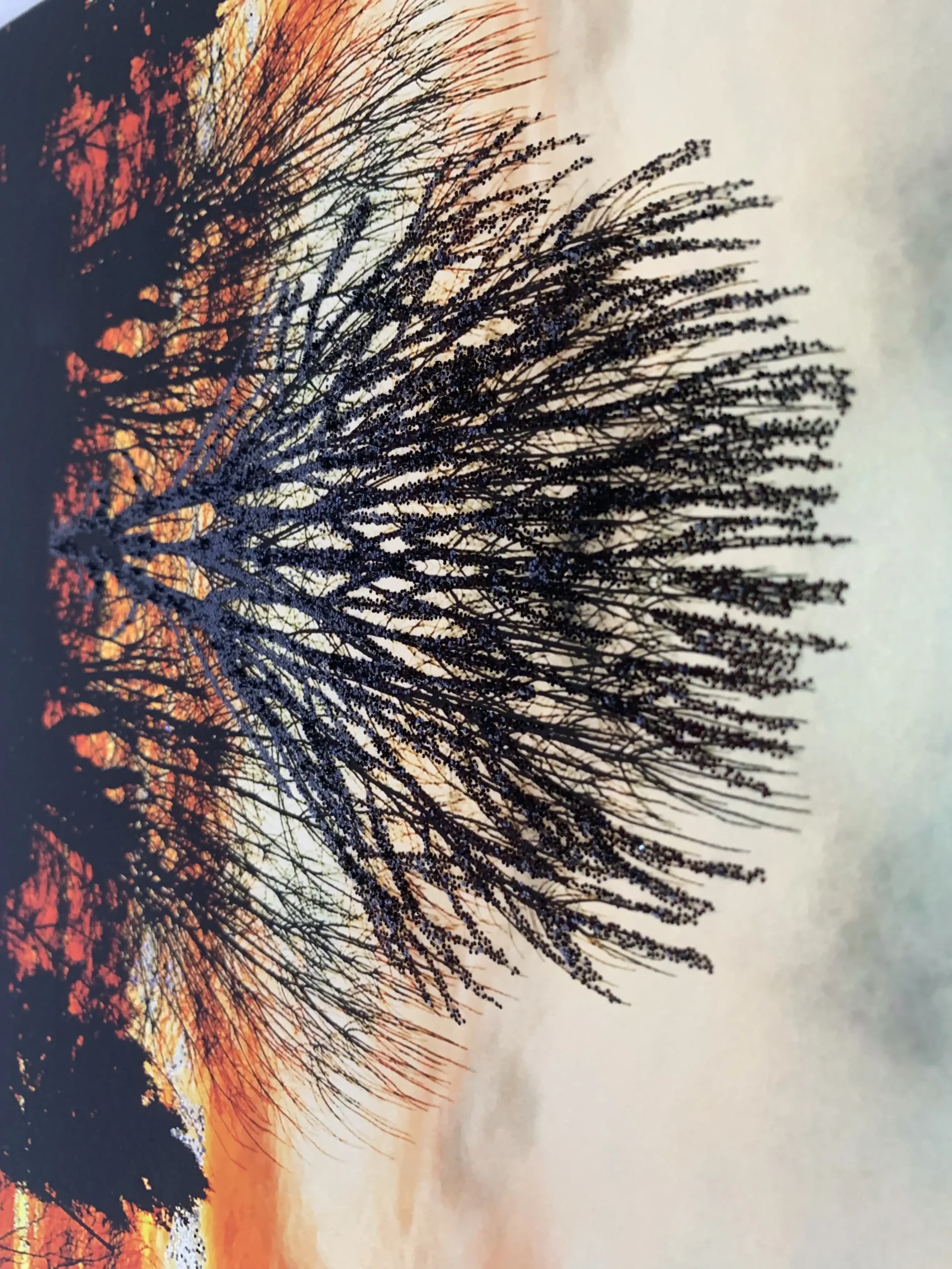 Dettaglio Music Dust