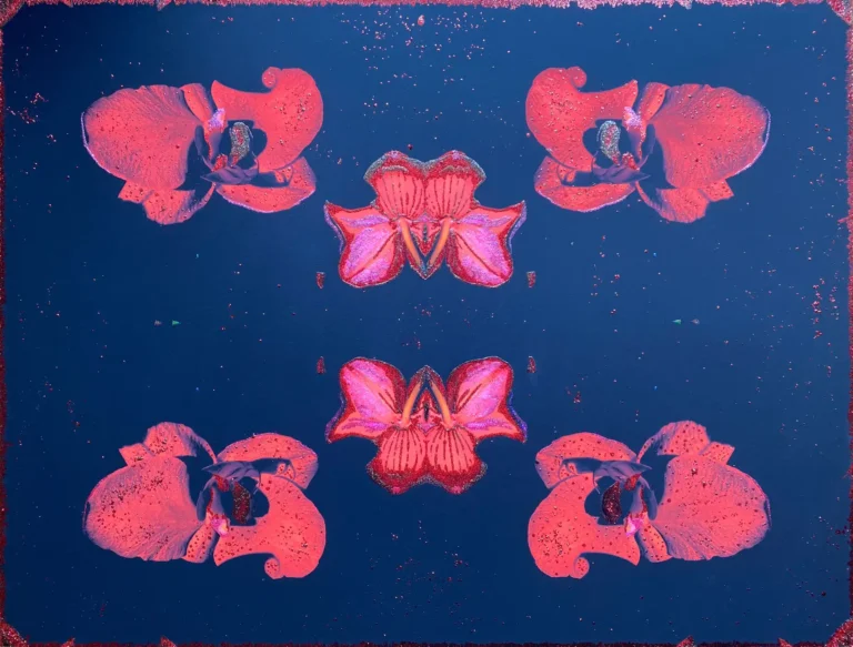 Red Orchis