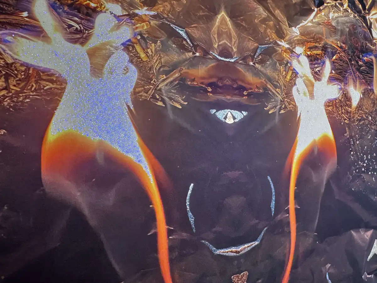 Dettaglio Al Centro Dell'Universo